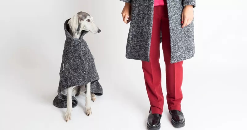 The Top Designer Brands That Offer Matching Outfits For You And Your Dog 