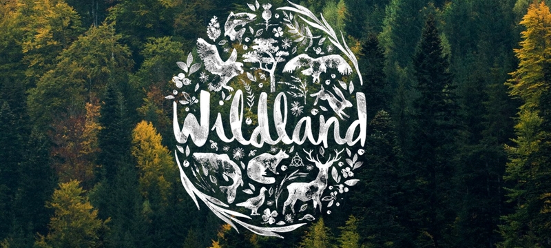 wildlandcompany